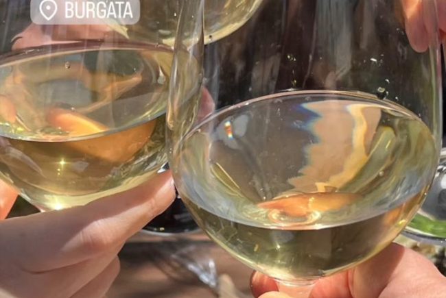 סוביניון בלאן 2023